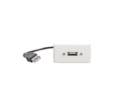 Uttagspanel - USB i gruppen Installation / Uttagssystem / Lsa uttag CYB hos Audiovision AB (SU-110-140)