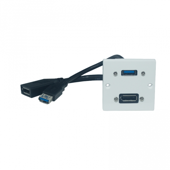 Uttagspanel DisplayPort + USB i gruppen Installation / Uttagssystem / Lsa uttag Exxact hos Audiovision AB (SUP-WP-EU-011)