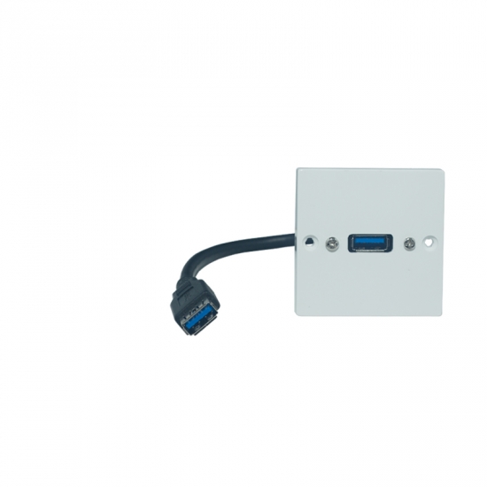 Uttagspanel USB i gruppen Installation / Uttagssystem / Lsa uttag Exxact hos Audiovision AB (SUP-WP-EU-020)