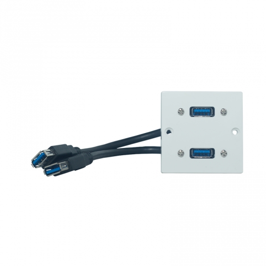 Uttagspanel 2 x USB i gruppen Installation / Uttagssystem / Lsa uttag Exxact hos Audiovision AB (SUP-WP-EU-021)