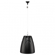 PL 30B Pendelhgtalare