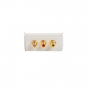 Uttagspanel - Composite Video + RCA