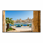 Display 55" PN55DHH (UHD/4K)