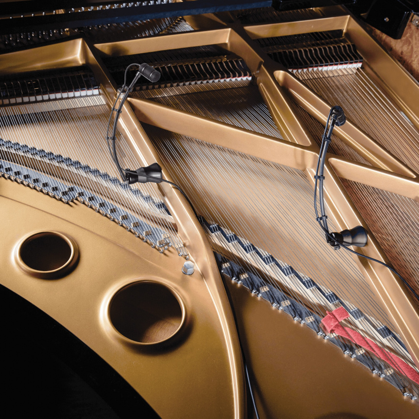 Artist Series - ATM350PL