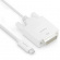 iSeries USB C - DVI Kabel iSeries USB C - DVI Kabel