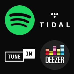 Aktiv inf�llnadsh�gtalare 6,5'' Wifi